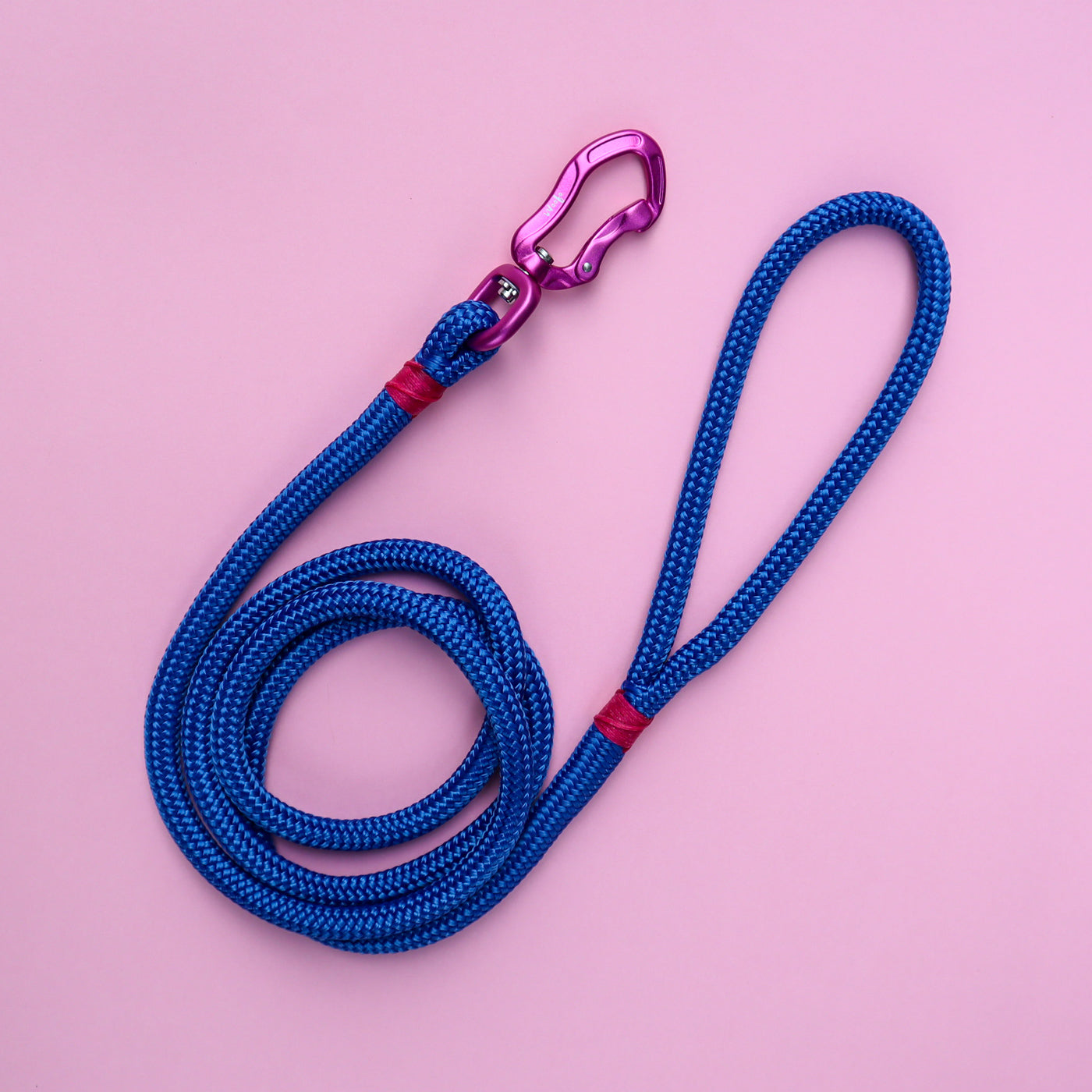 Electric Blue Rope Dog Leash - Handcrafted Rope Lead in New Zealand – Woofo  Empawrium
