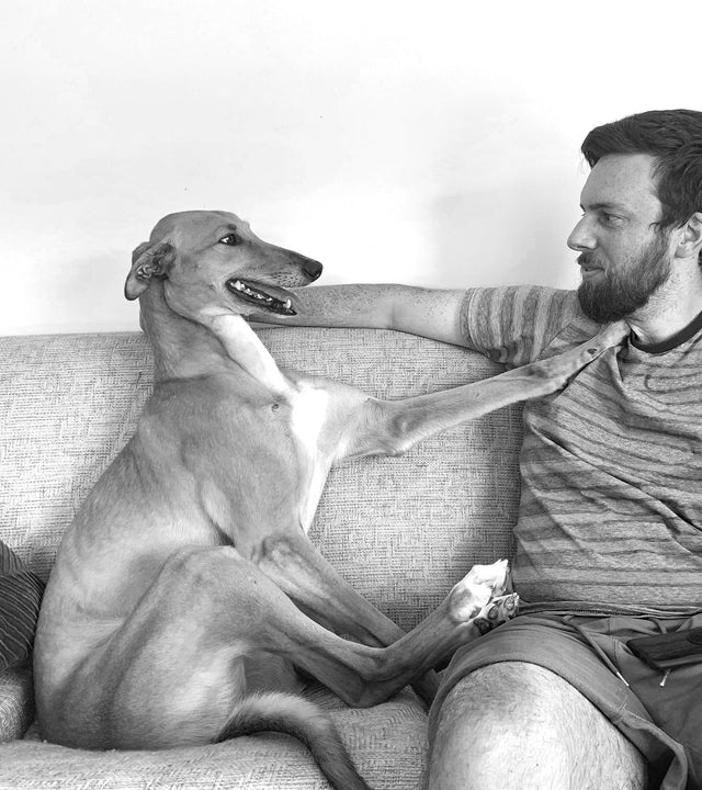 Why Retired Racing Greyhounds Make the Best Pets: A Pawrent's Perspective