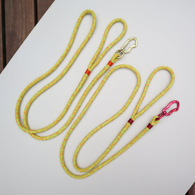 Macadamia Rope Leash