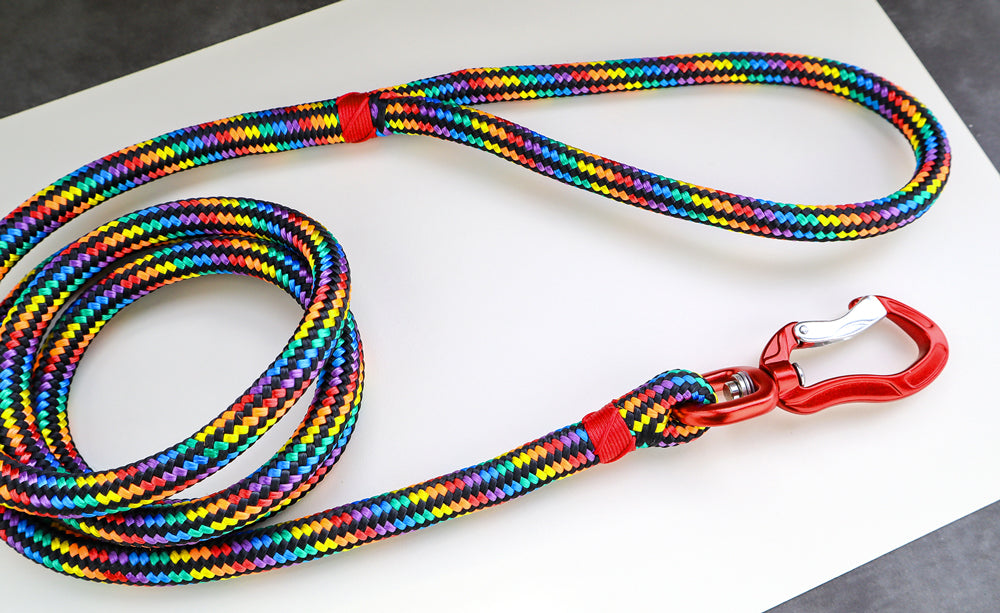 Rainbow rope dog store leash