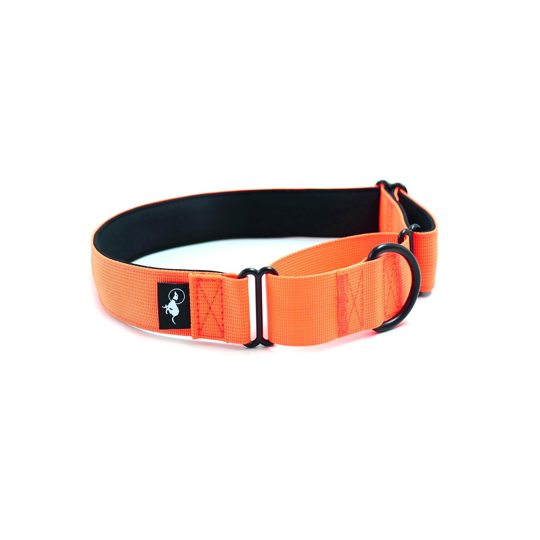 Martingale collar for sale best sale