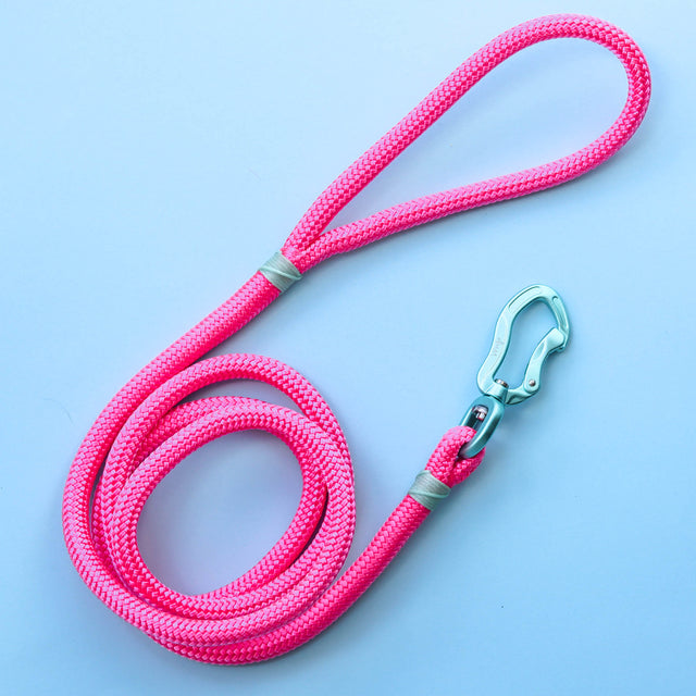 Teal & Pink Rope Leash