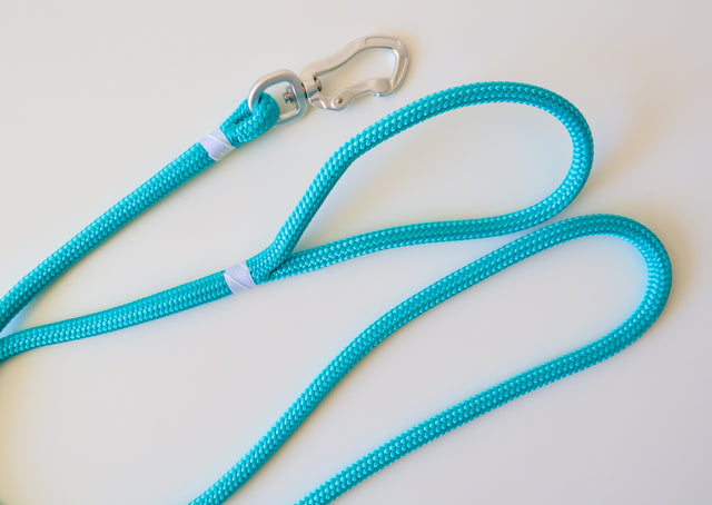 Silver & Turquoise Rope Leash