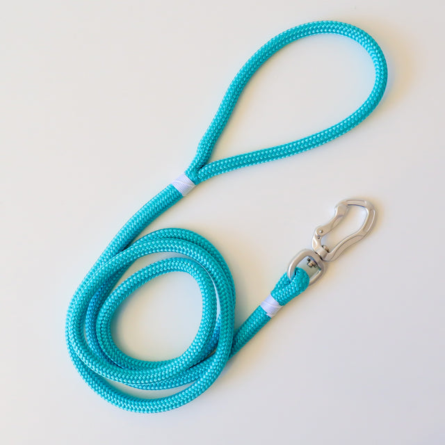 Silver & Turquoise Rope Leash