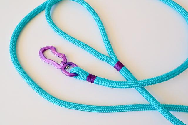 Purple & Turquoise Rope Leash