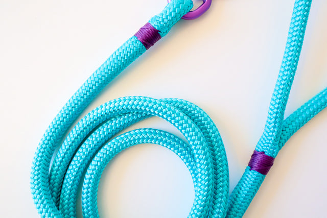 Purple & Turquoise Rope Leash