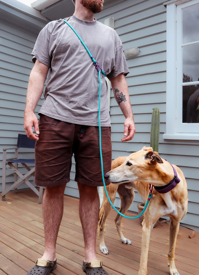 Hands-free/Double Ended Dog Leash