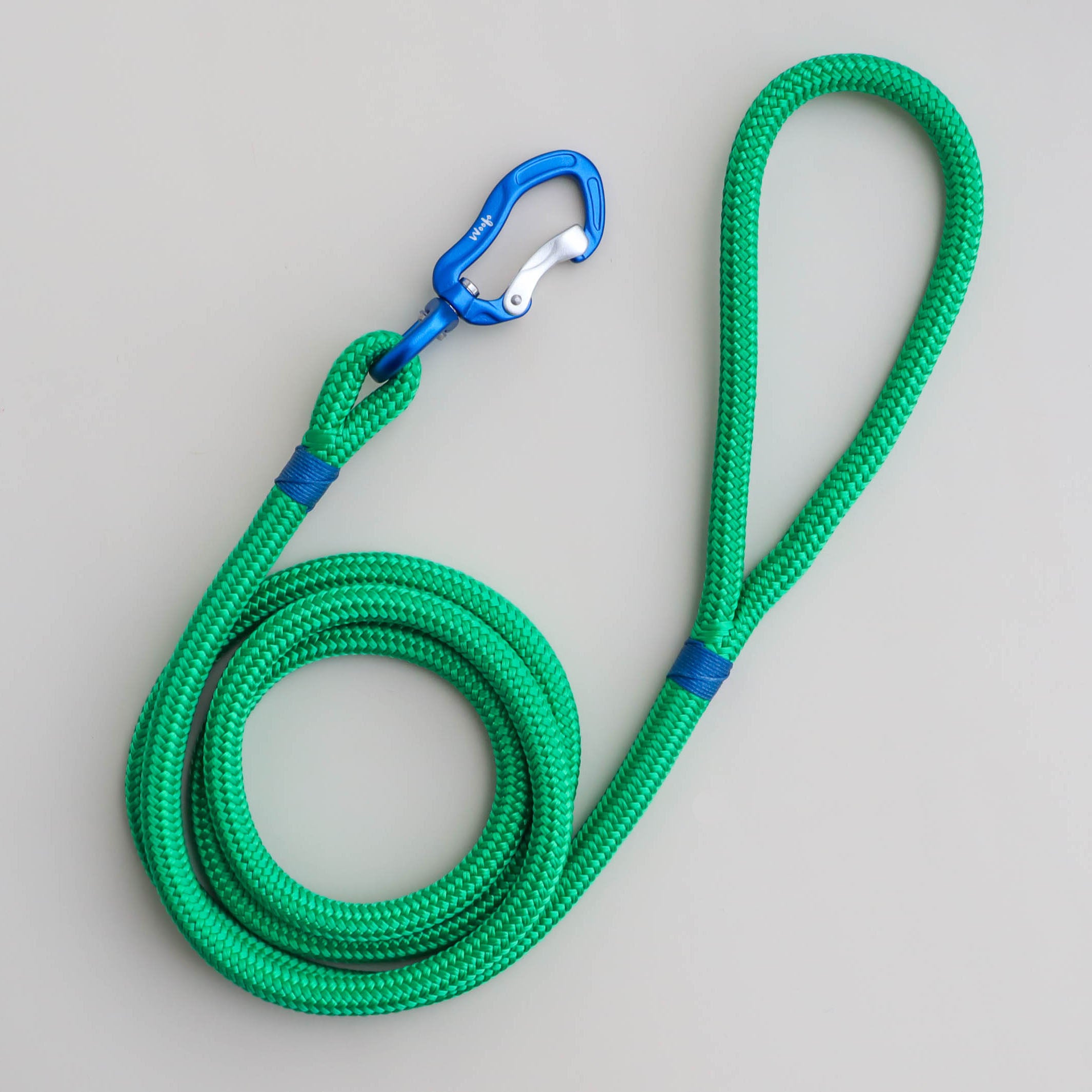 Green rope dog sales lead