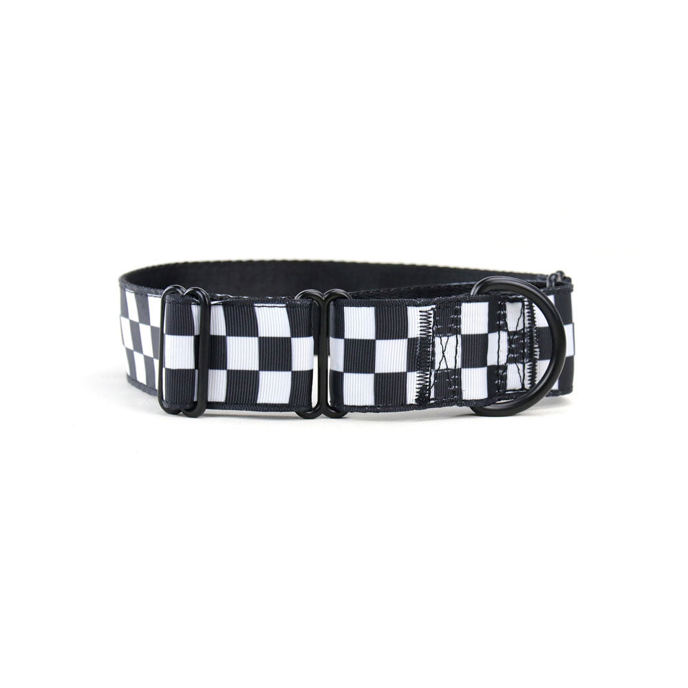 Checkered flag 2024 dog collar