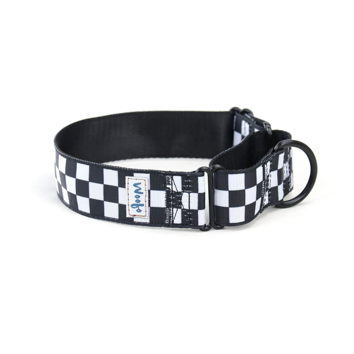 Checkered flag shop dog collar