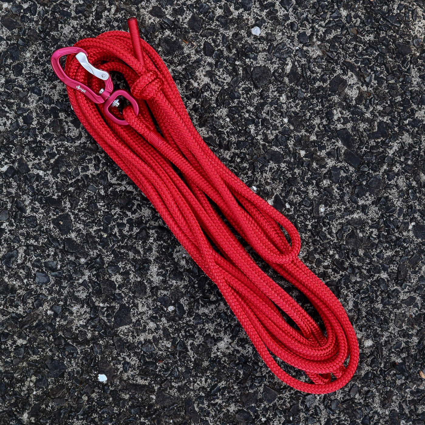 Extra long 2024 rope dog lead